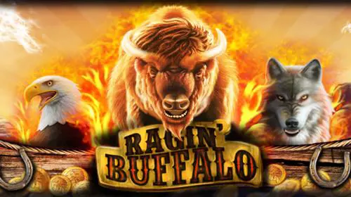 Ragin' Buffalo - Marakumi - Kenya